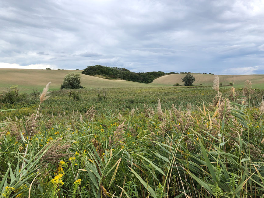 Leithaland Öko-Ist-Öko-Soll