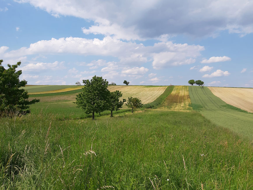 Kultur_Natur_Erholung Mitterberg Pöttsching