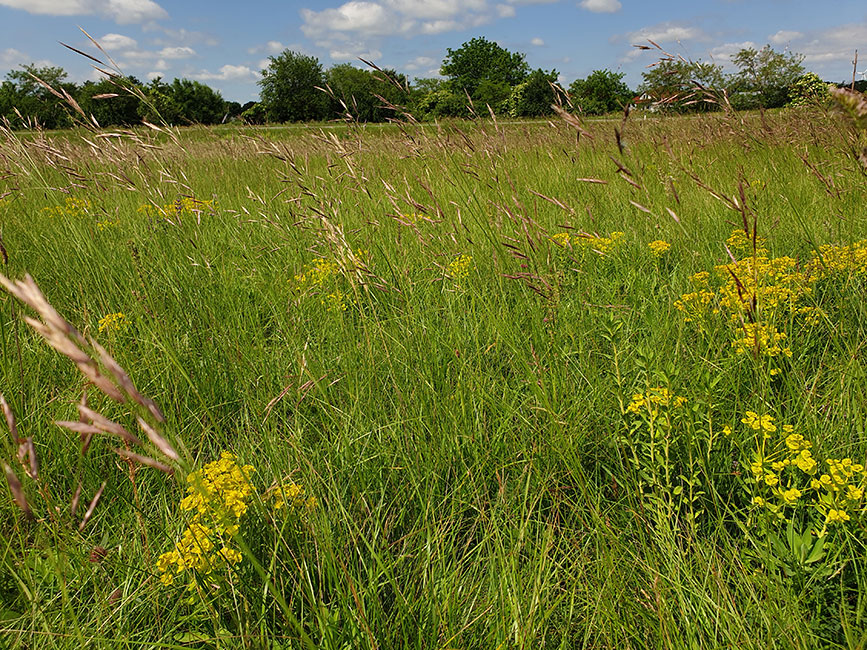 Natur in Sicht