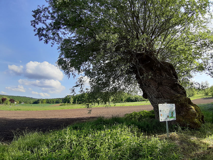 Info-Offensive Schutzgebiete