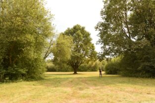 August 2022: Naturschutzgebiet Friedhofswiesen Jabing